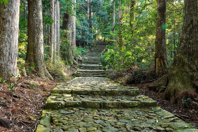 世界遺産　熊野古道