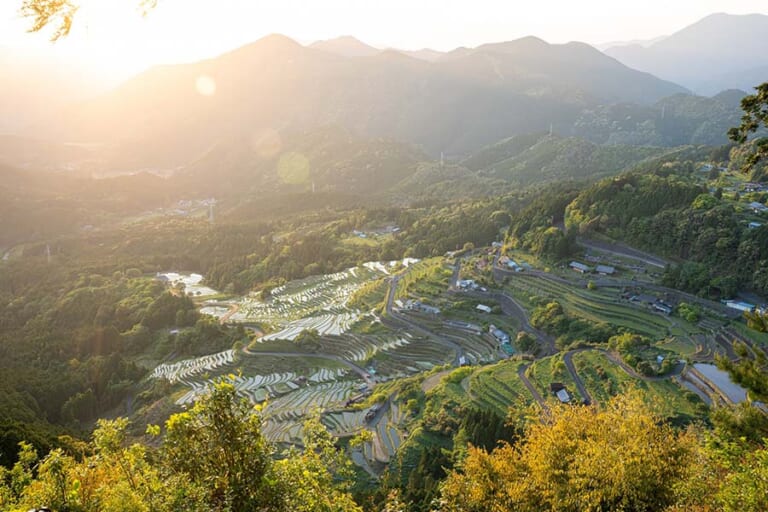 丸山千枚田