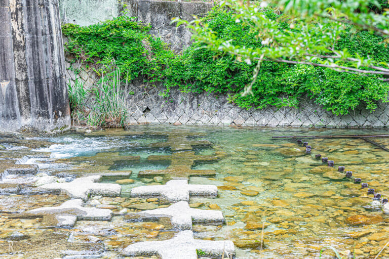 川遊び（魚とり）